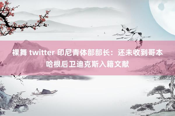 裸舞 twitter 印尼青体部部长：还未收到哥本哈根后卫迪克斯入籍文献
