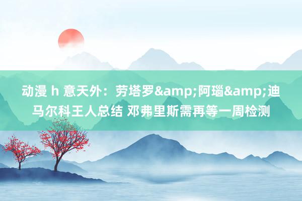 动漫 h 意天外：劳塔罗&阿瑙&迪马尔科王人总结 邓弗里斯需再等一周检测
